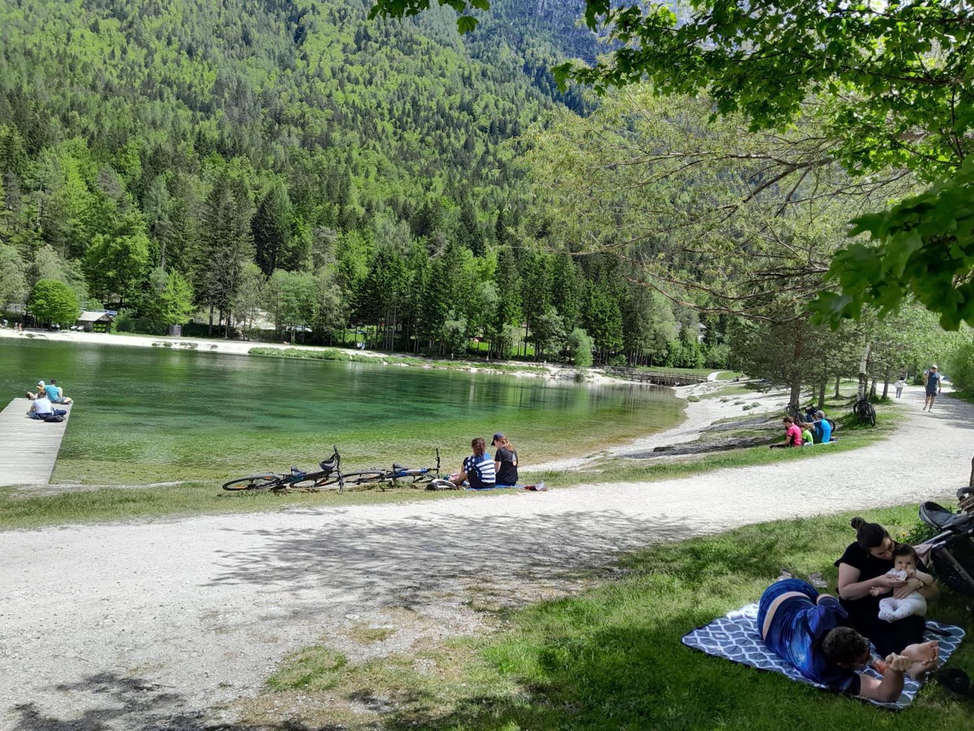 Les Chalet Kranjska Gora I Buitenkant foto