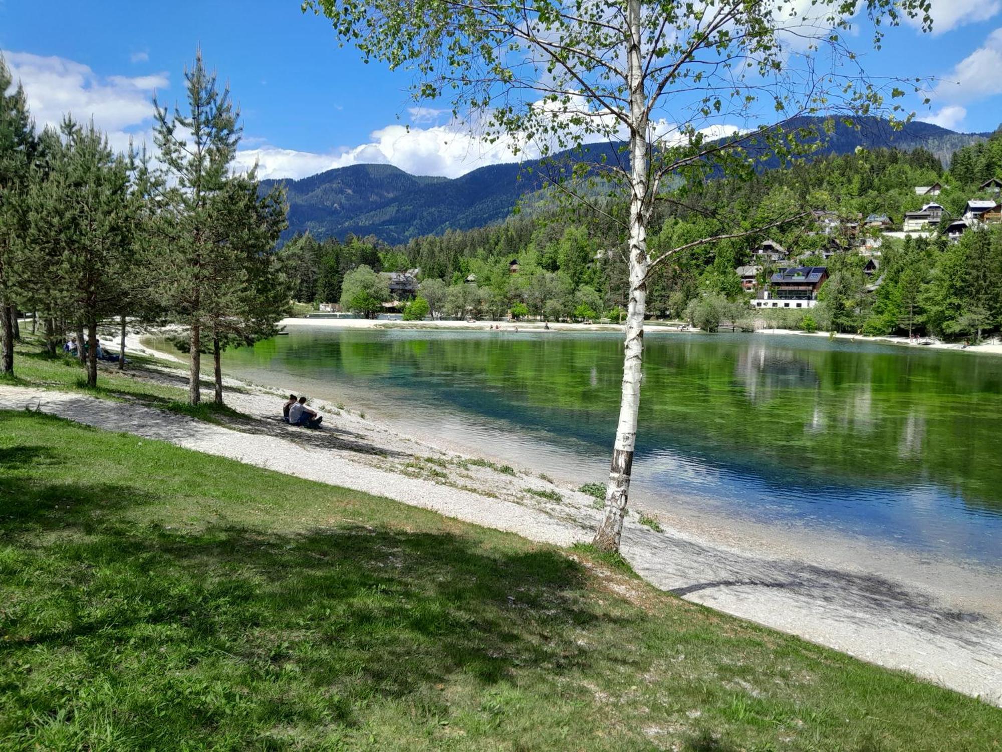 Les Chalet Kranjska Gora I Buitenkant foto
